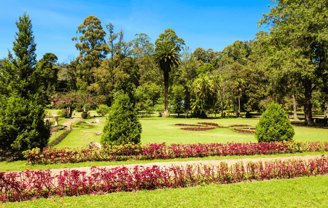 Nuwara Eliya