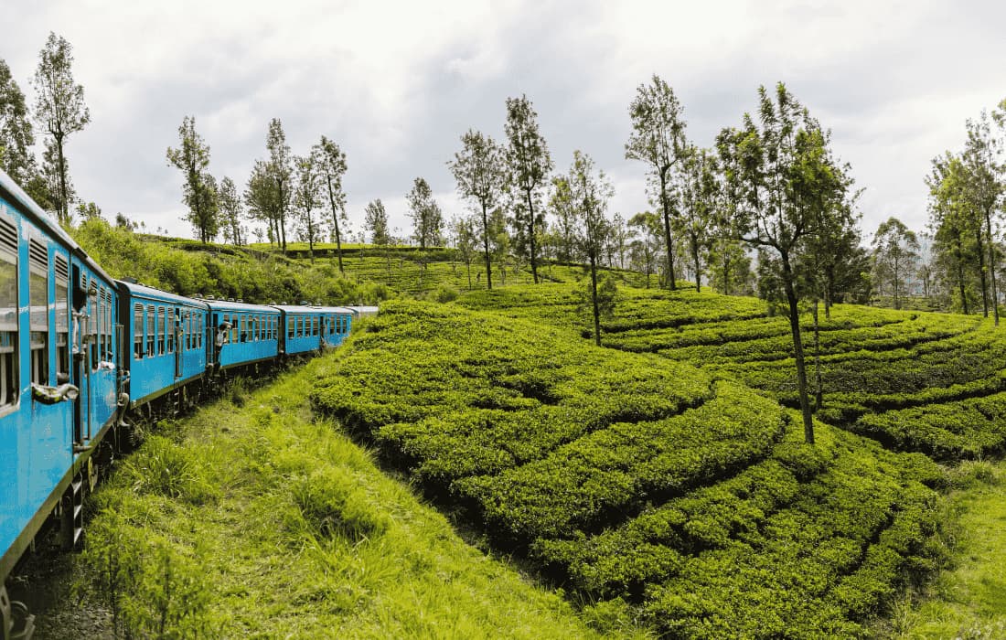 Nuwara Eliya