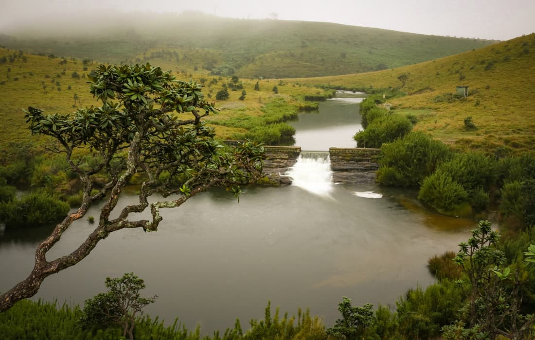 Nuwara Eliya