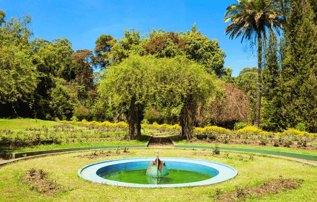 Nuwara Eliya