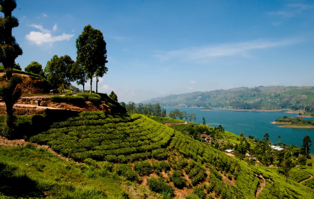 Nuwara Eliya