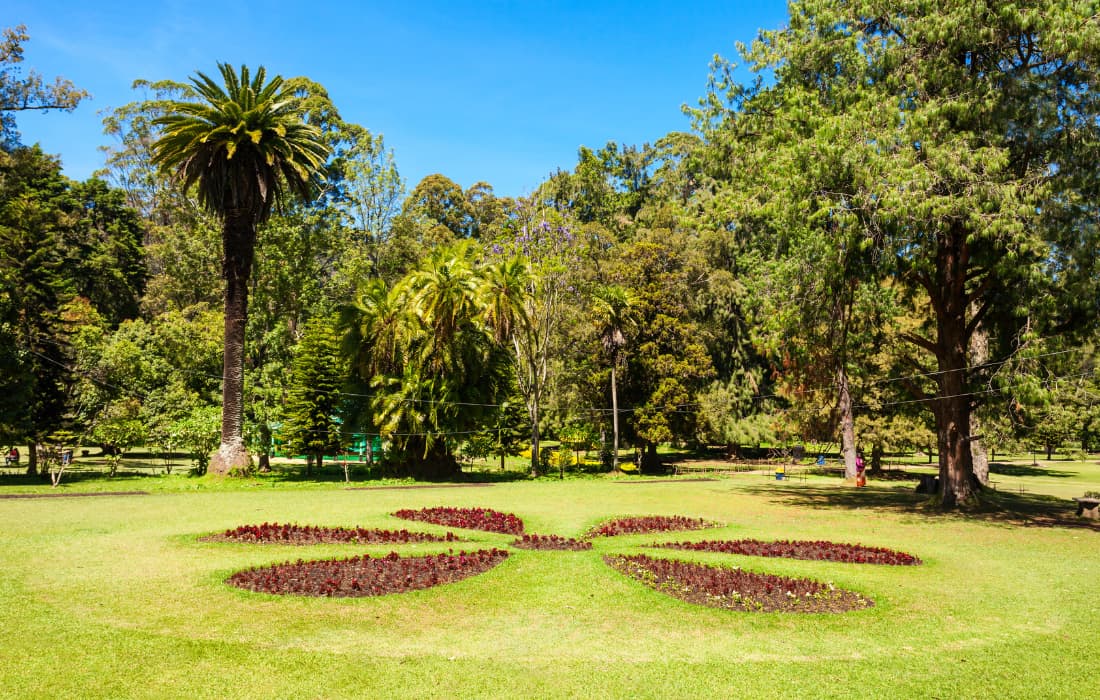 Nuwara Eliya