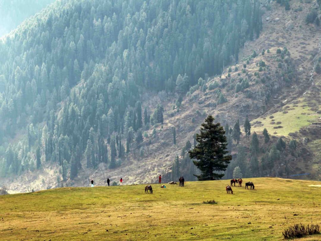 Pahalgam