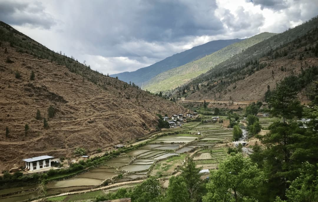 Paro