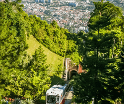Penang Hill & Kek Lok Si Temple Day Tour