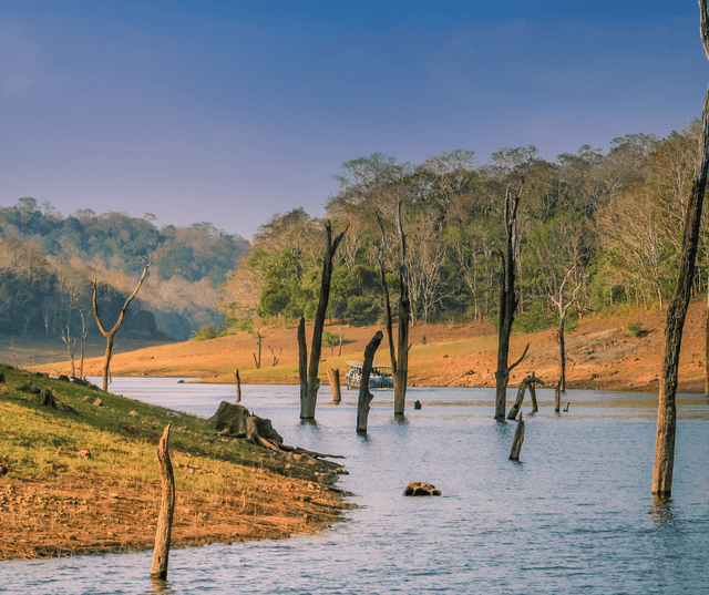 Thekkady Wildlife & Nature Tour