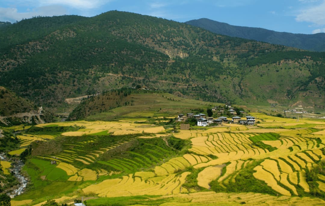 Punakha Sightseeing Tour