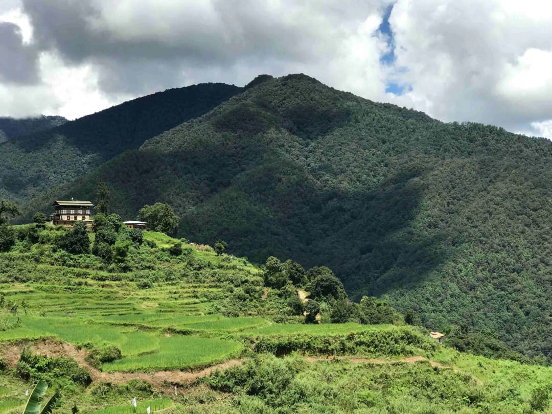 Punakha