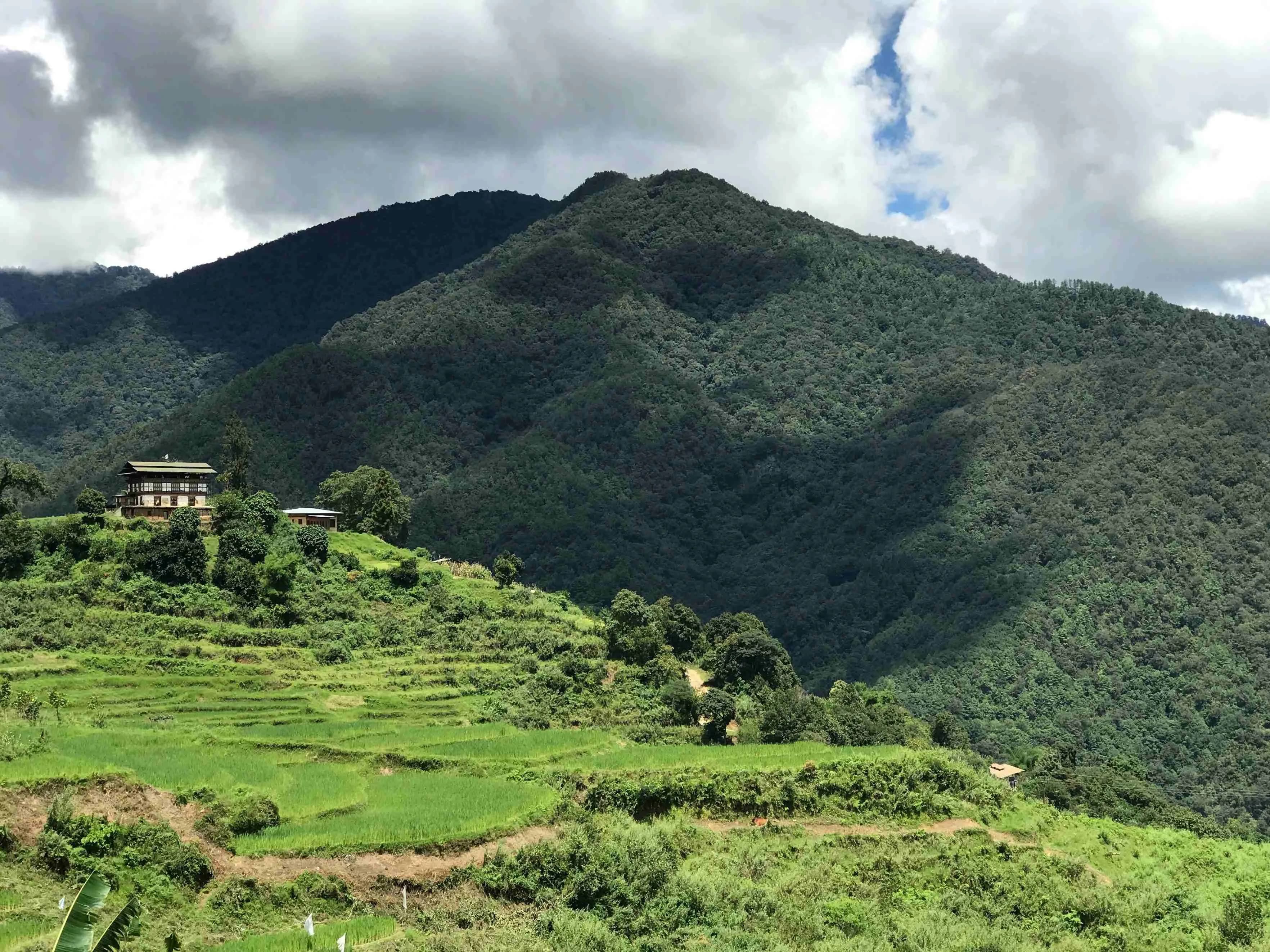 Punakha
