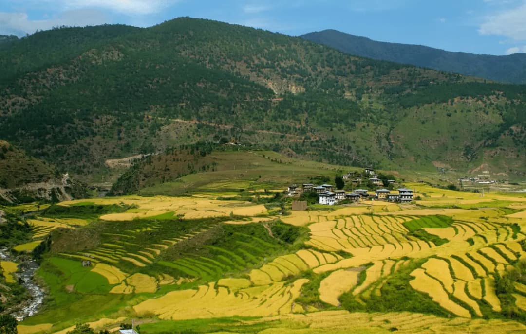 Punakha Sightseeing Tour