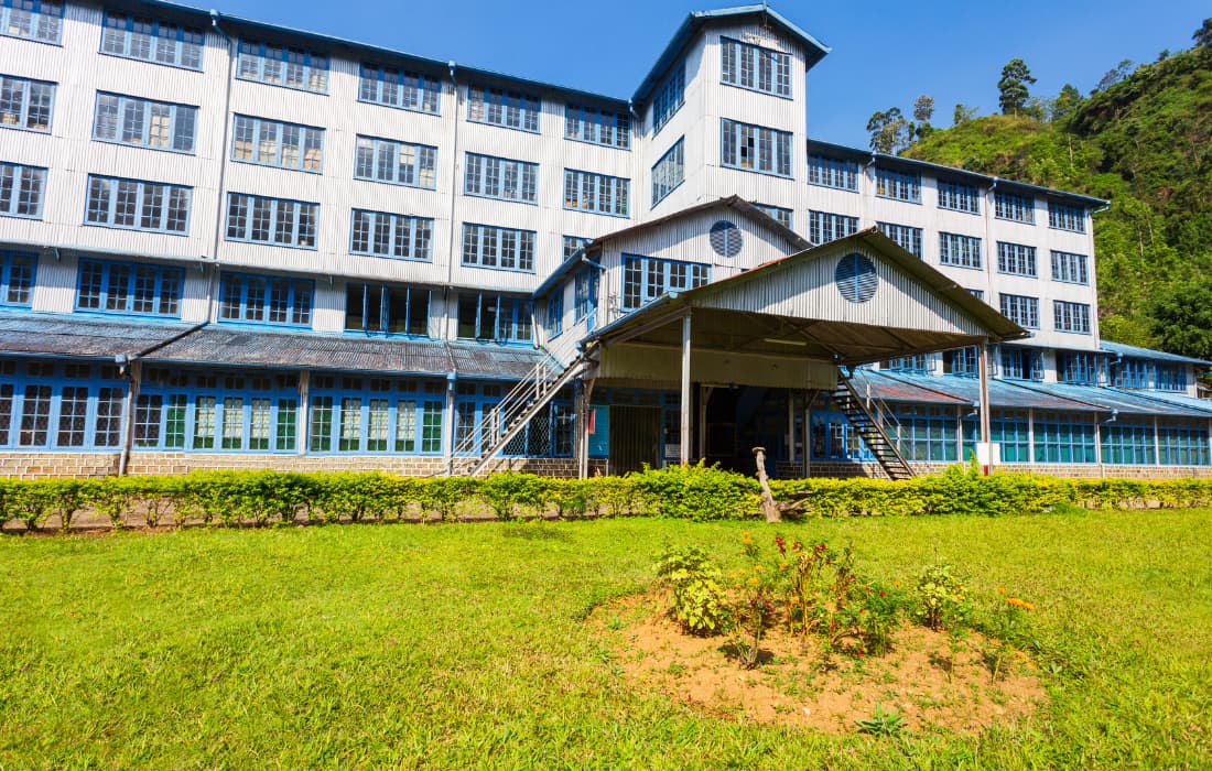 Tea Factory