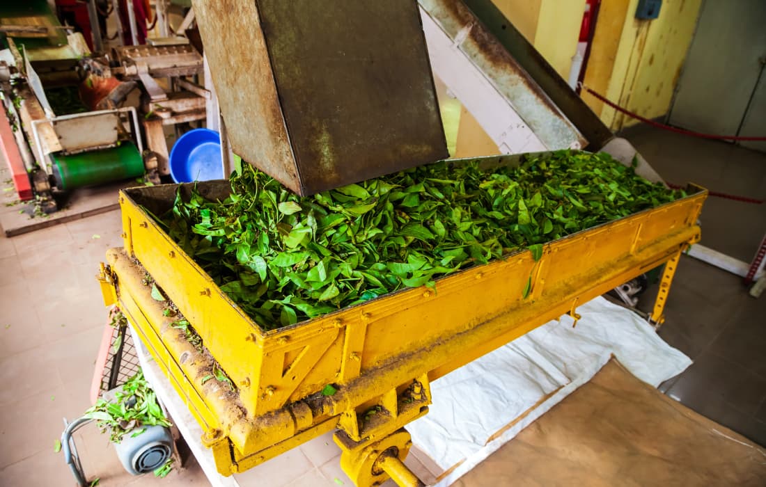 Ramboda Falls & Tea Factory
