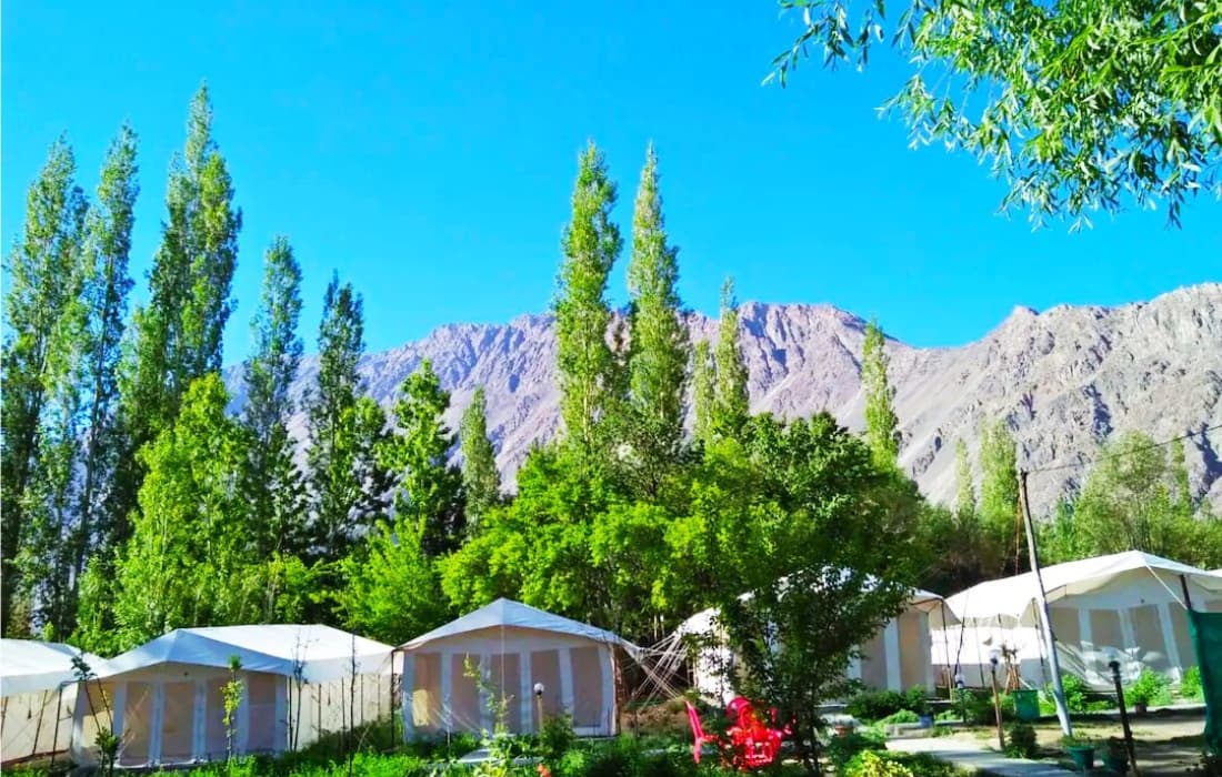 Rebo Camp