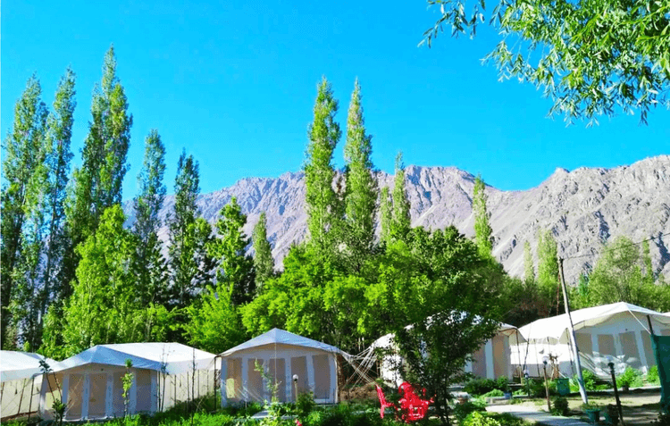 Rebo Camp