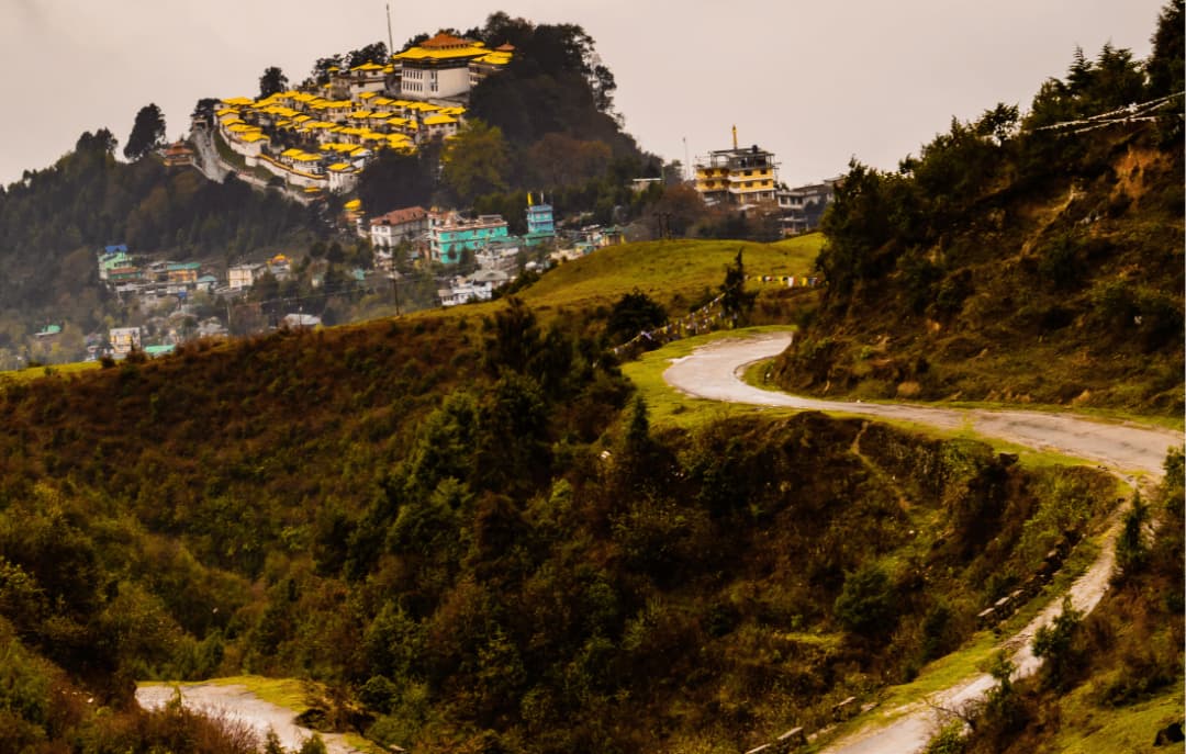 Scenic Drive