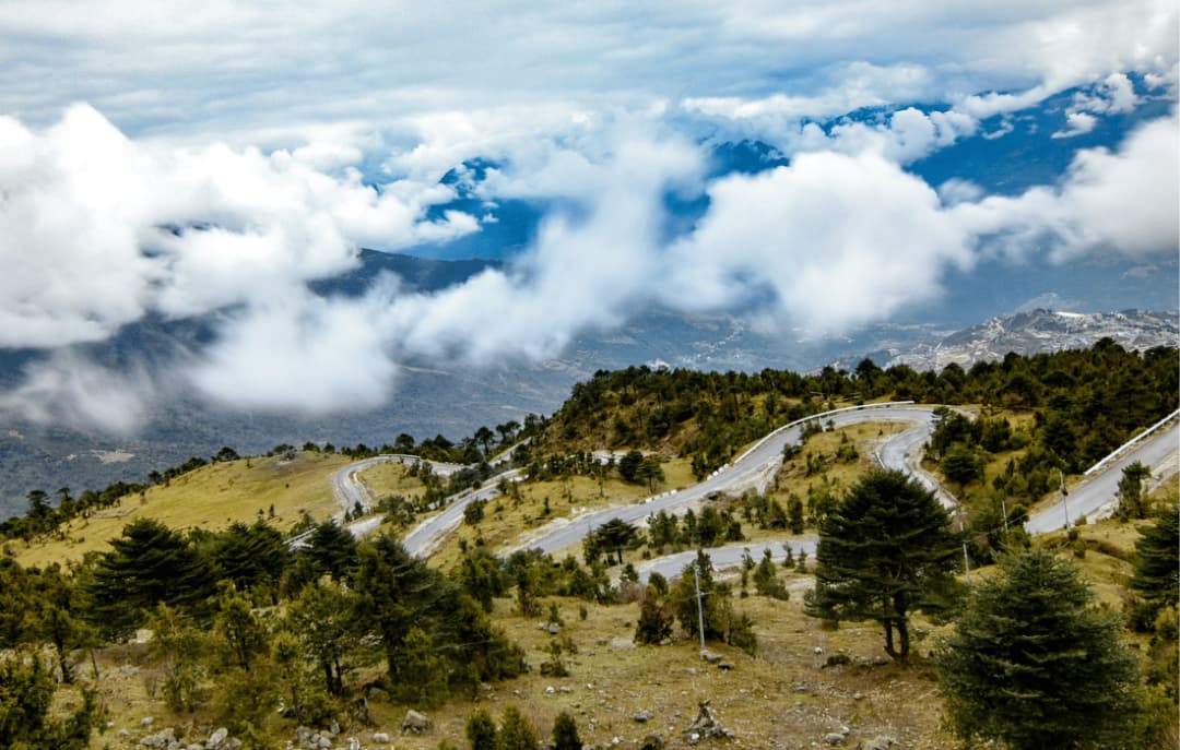 Scenic Drive