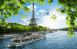 Paris City Tour