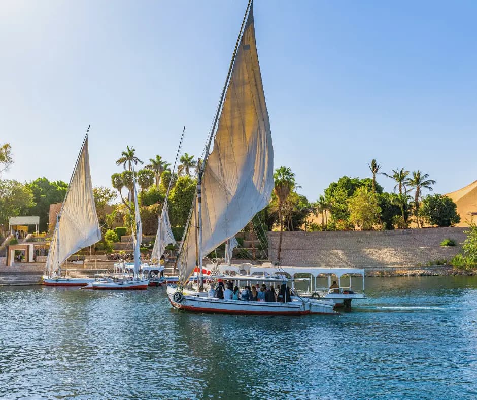   Felucca Boat