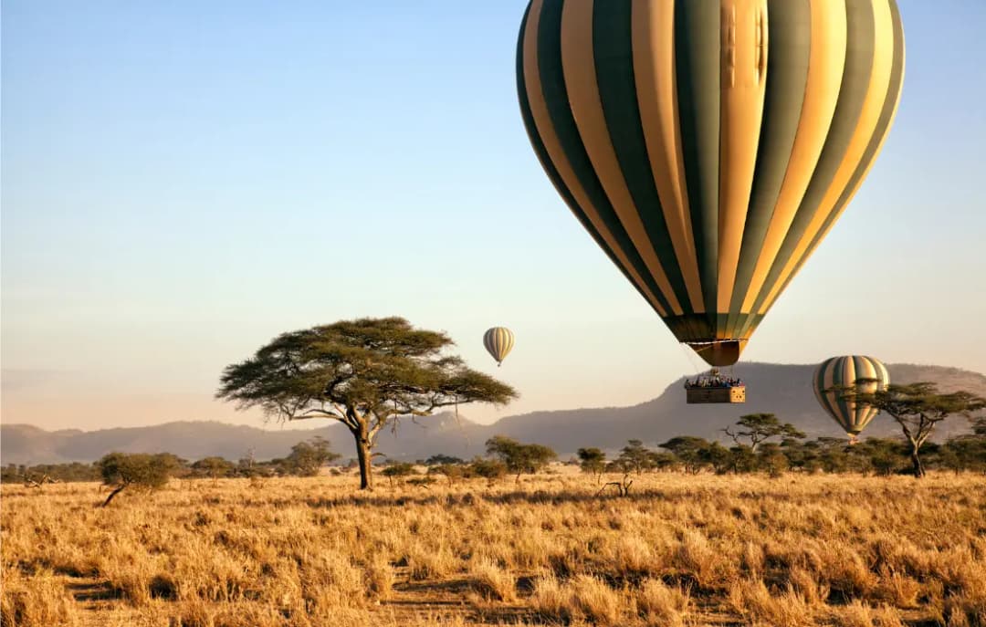 Serengeti
