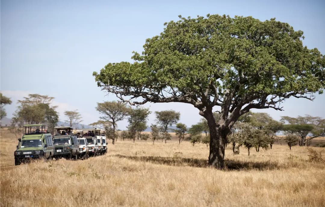 Serengeti