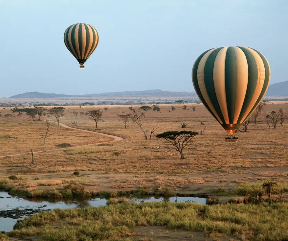 Hot air balloon ride