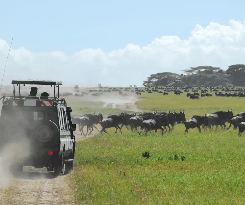 Great Migration
