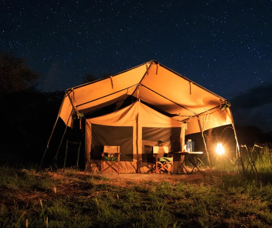 Star Gazing