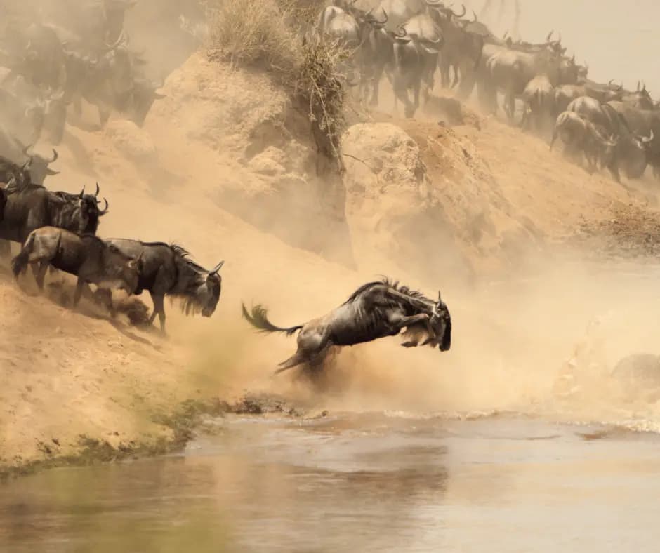 Great Migration