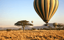 Serengeti