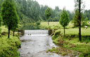 Shillong