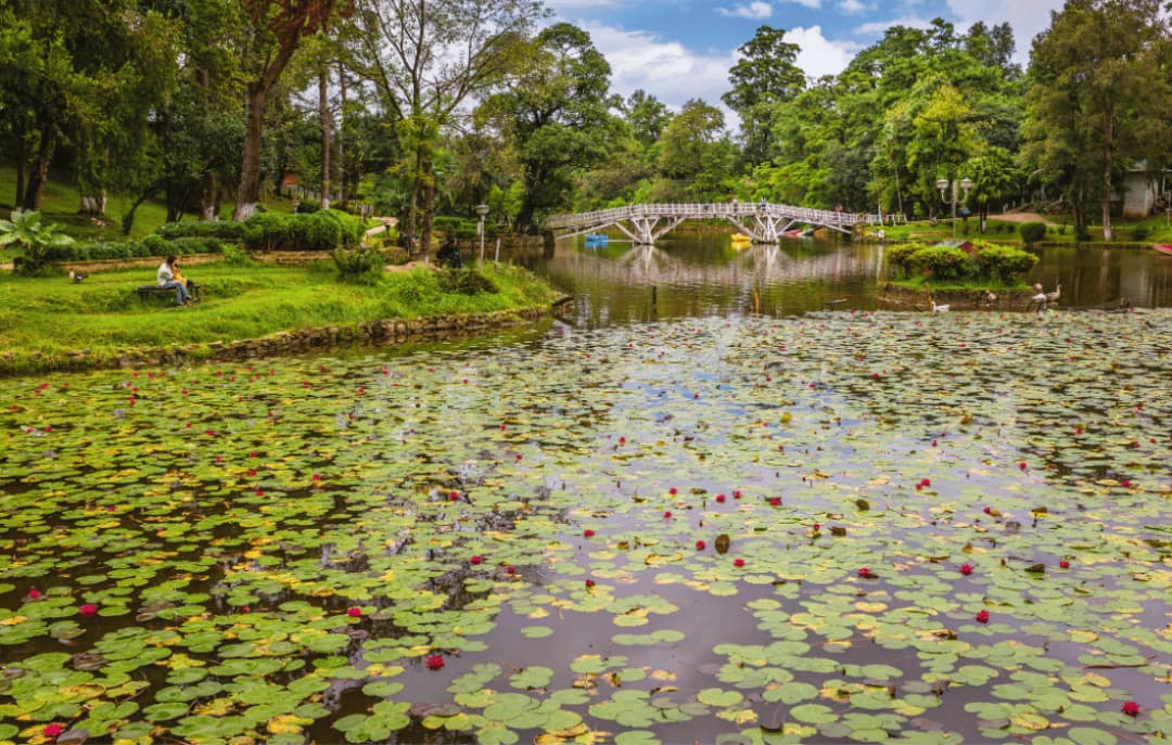 Shillong