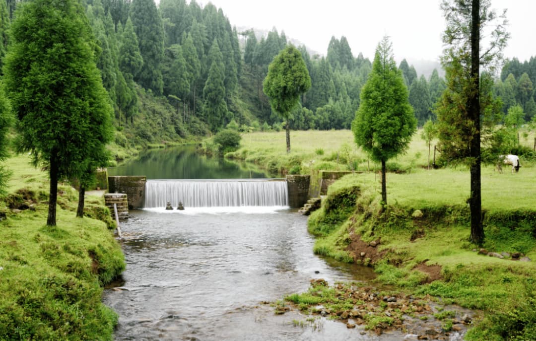 Shillong