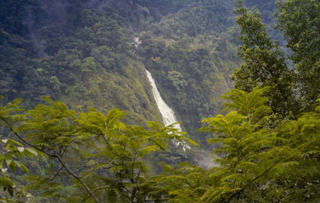 Shillong