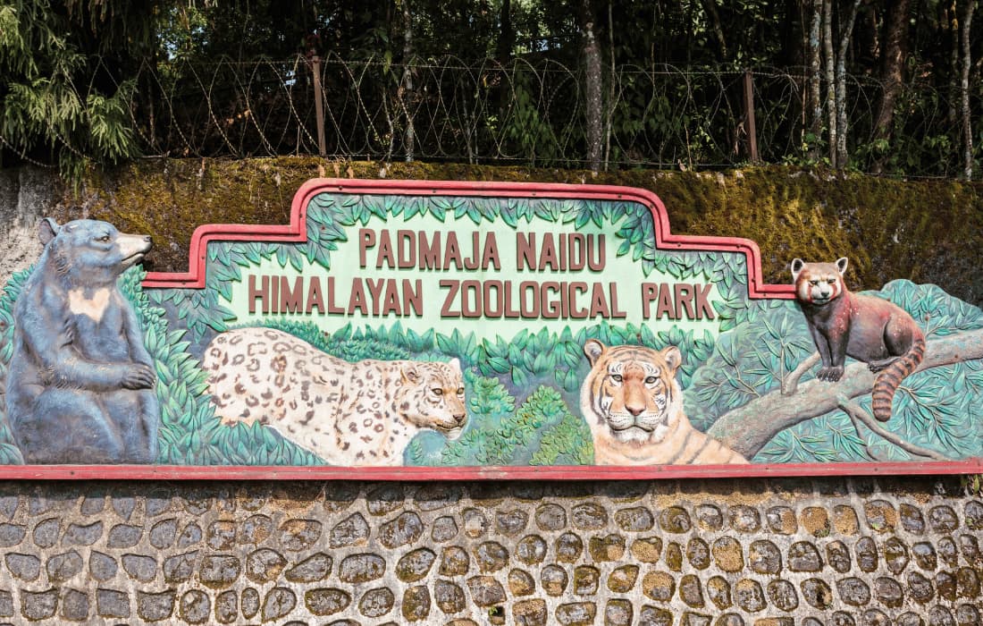 Padmaja Naidu Himalayan Zoological Park