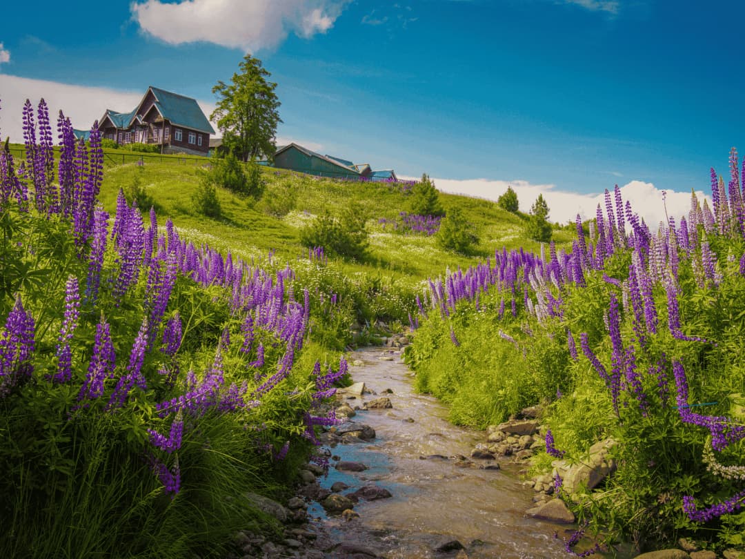 Sightseeing in Gulmarg