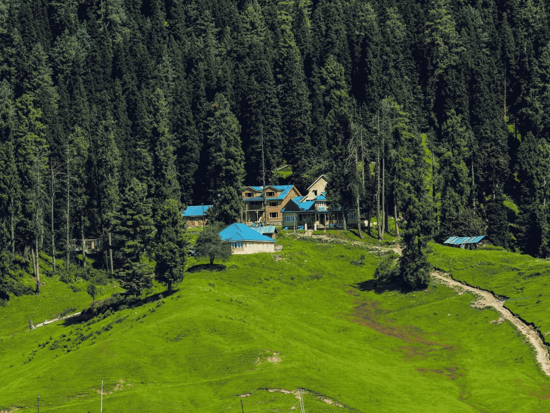 Sightseeing in Gulmarg