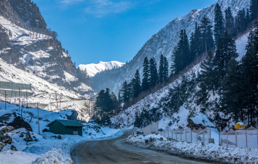 Sightseeing in Sonamarg