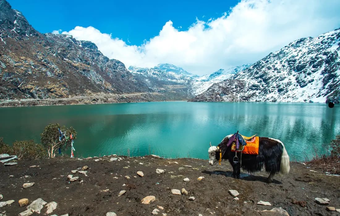 https://cdn.fullontravel.com/Tsomgo Lake