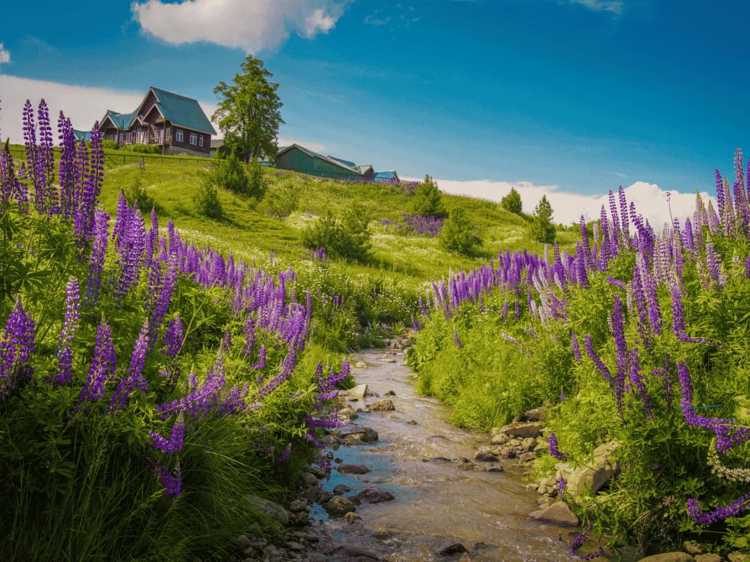Sightseeing in Gulmarg