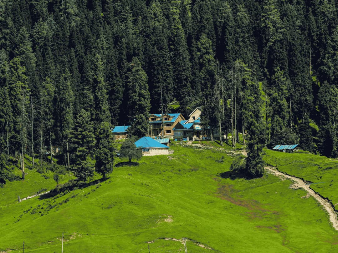 Sightseeing in Gulmarg