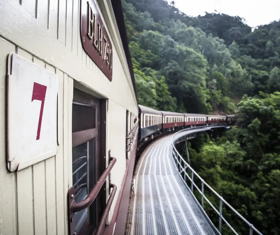 Kuranda Rainforest