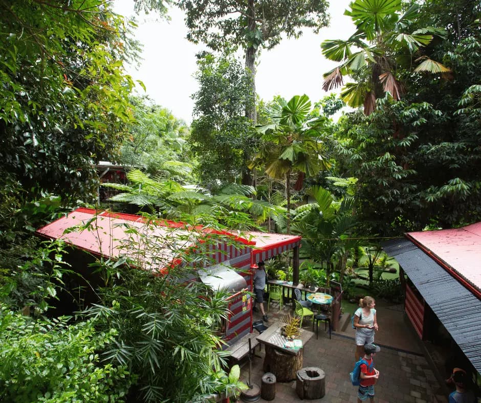 Kuranda Railway Tour