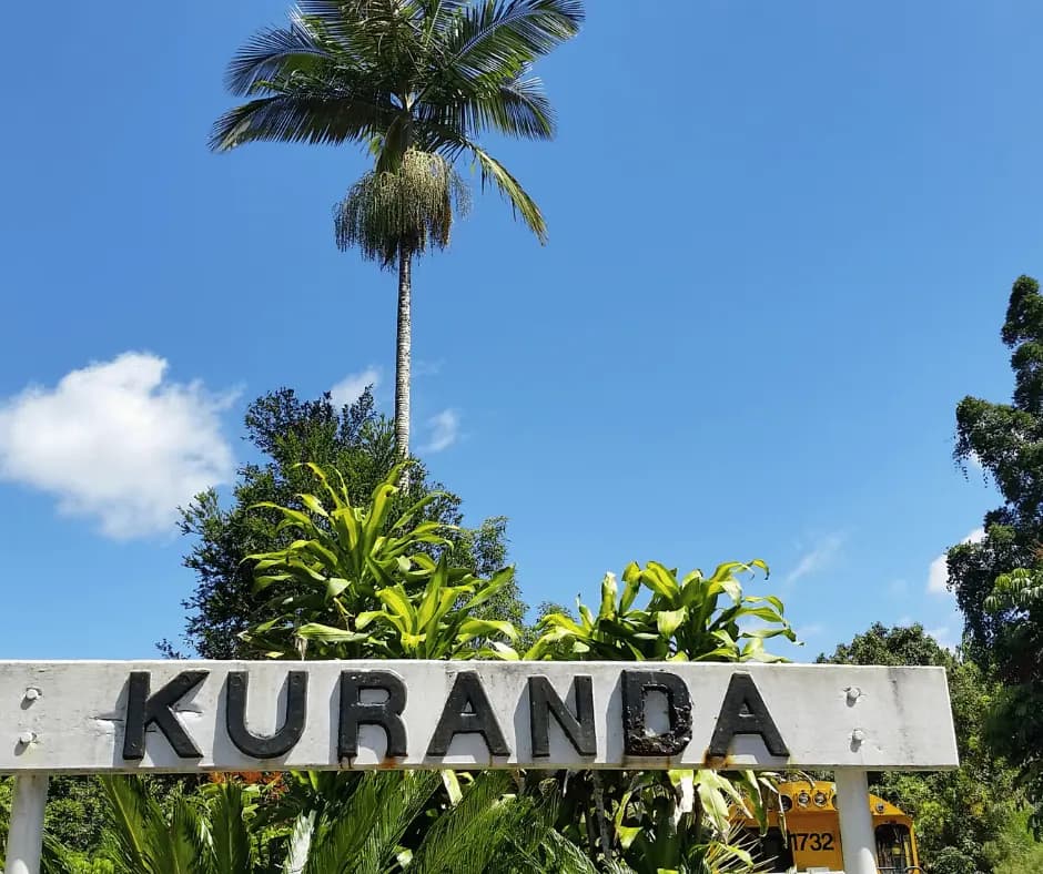 Kuranda Rainforest