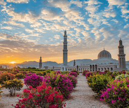 Muscat Evening City Tour