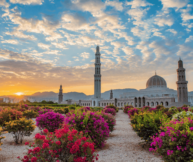 Muscat Evening City Tour