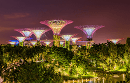 Gardens by the Bay Cloud Forest + Supertree Observatory