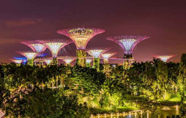 Gardens by the Bay Cloud Forest + Supertree Observatory