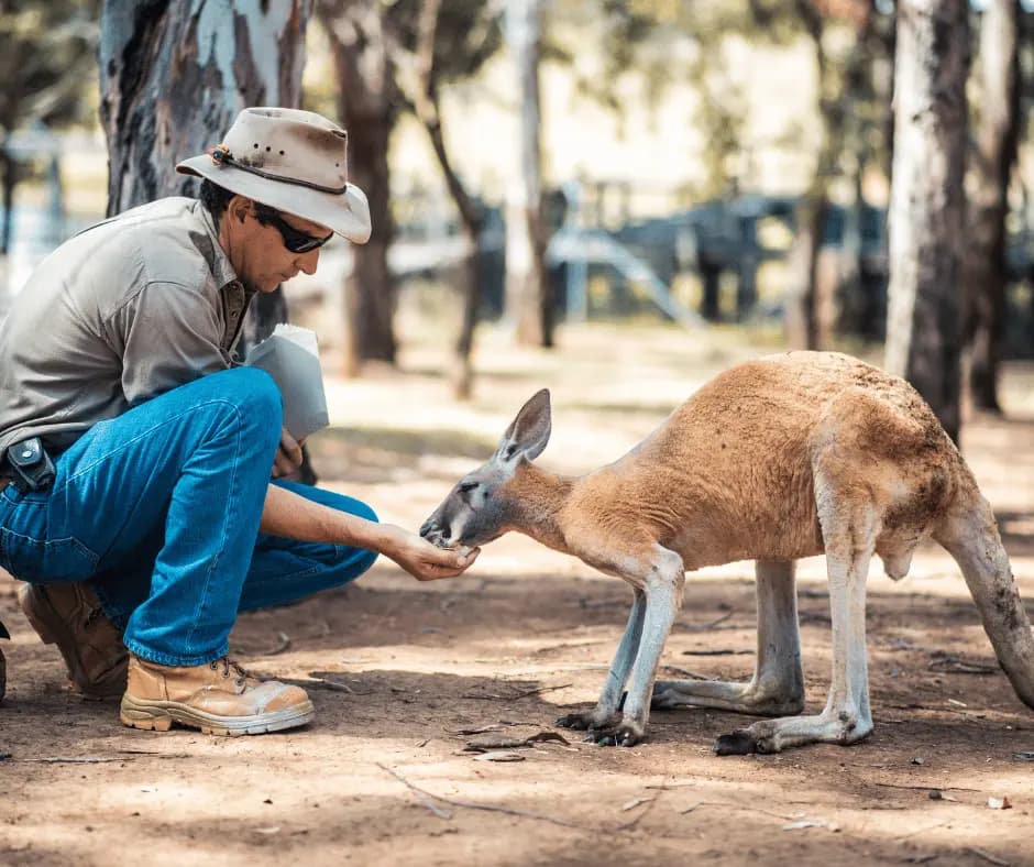 Sydney Zoo