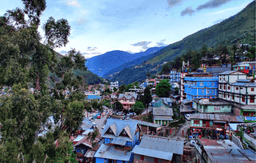 The Mandala Hotel