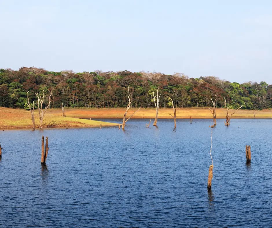 Thekkady